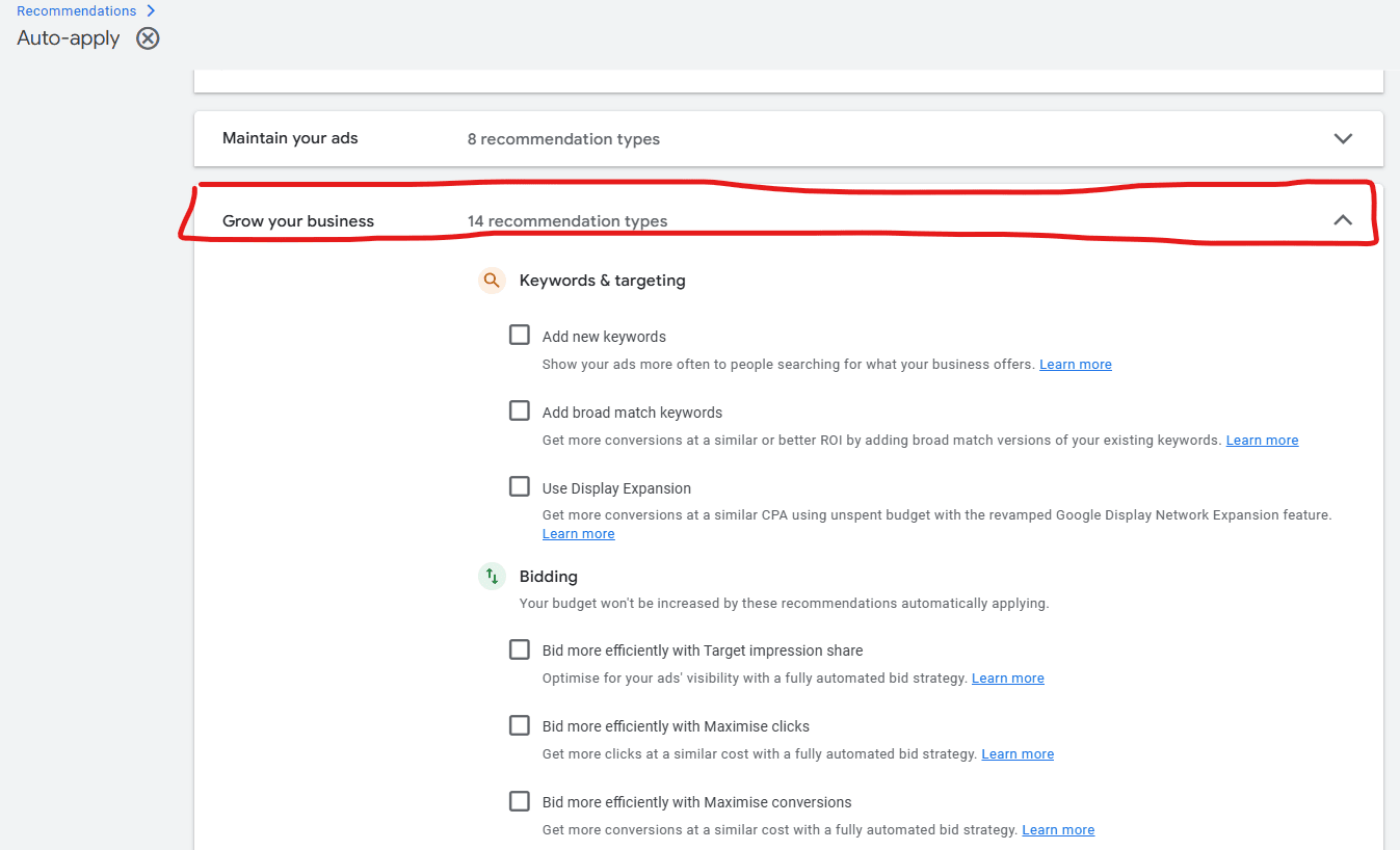 Image showing where to find which options are auto apply set in Google Ads.