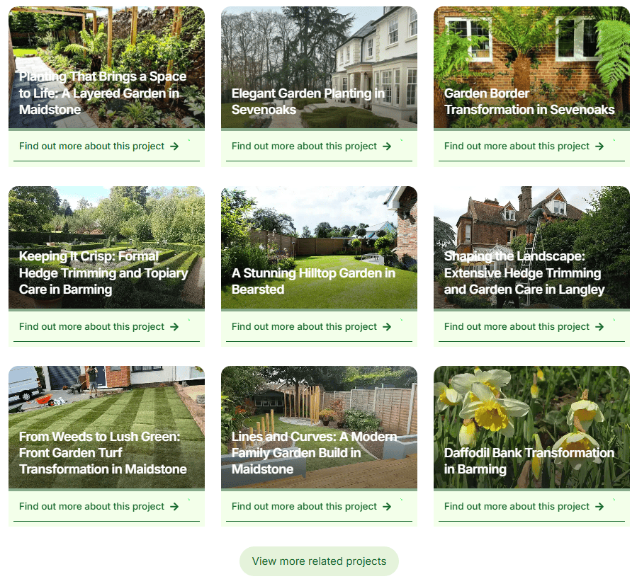 9 case studies on a website service page plus option to view more